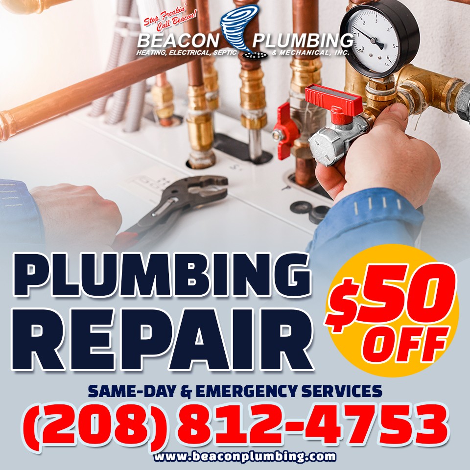 Boise replace or move pipes services in ID near 83709
